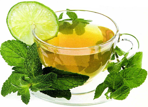 El Té Verde como Suplemento Dietético para Bajar de Peso Te verde suplemento para bajar de peso
