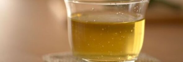 Qué bebidas adelgazantes se deben tomar para bajar de peso?