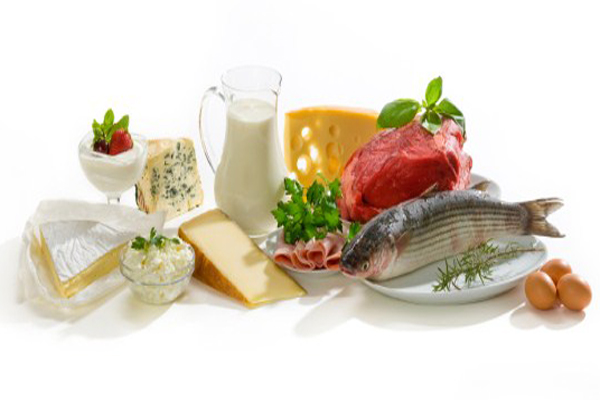 proteínas para adelgazar