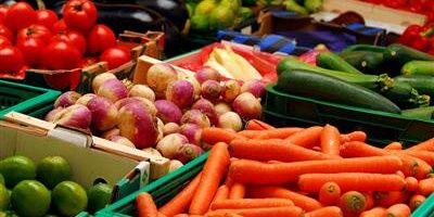 Alimentación saludable para los vegetarianos