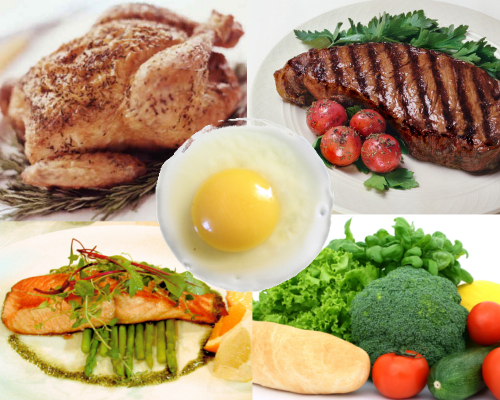 proteína en la dieta