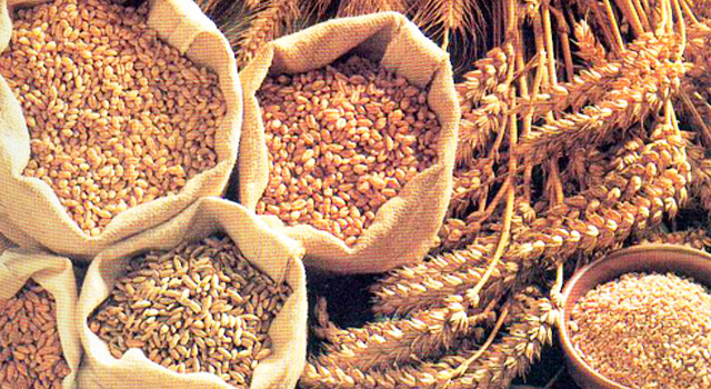 cerealesintegrales 1