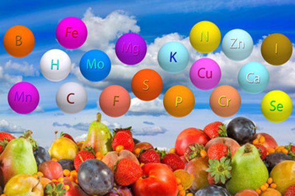 Minerales y vitaminas para bajar de peso