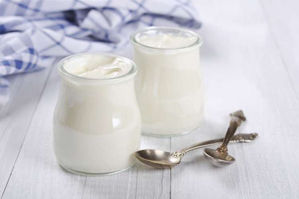 yogurt con probioticos