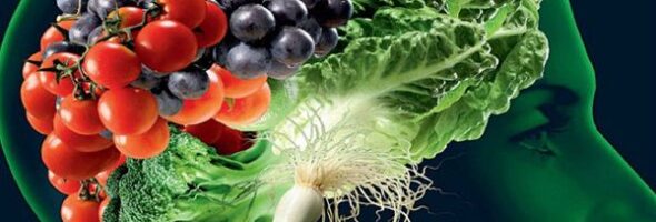 Los mejores alimentos y nutrientes para el cerebro