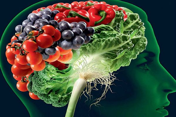 Los mejores alimentos y nutrientes para el cerebro