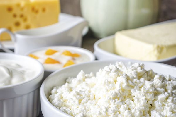 5 Principales productos lácteos ricos en grasa 5 Principales Productos Lácteos Ricos en Grasa