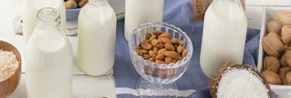 Las 4 mejores alternativas de leche vegetal