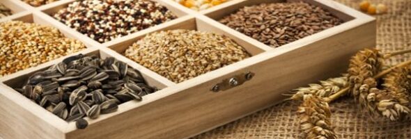 5 Semillas altas en proteínas para añadir a tu dieta