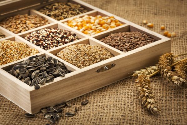 5 Semillas ricas en proteínas 5 Semillas altas en proteínas para añadir a tu dieta