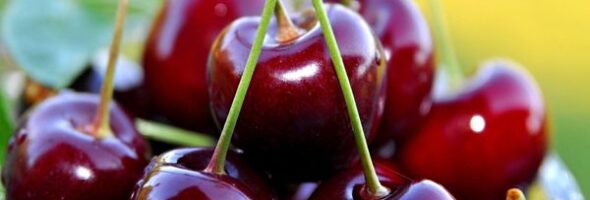 ¿Pueden las cerezas negras reducir la grasa abdominal?
