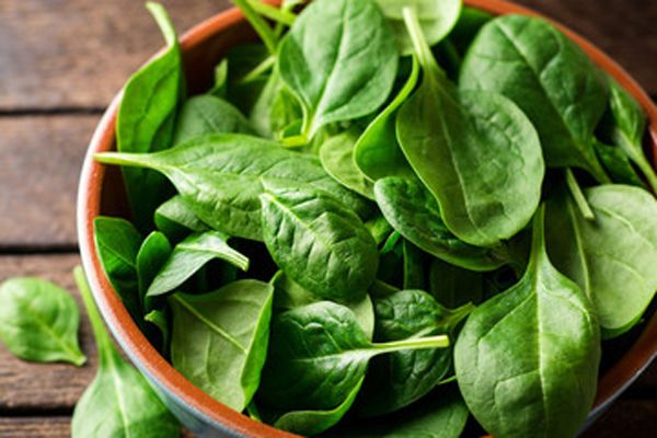 Beneficios de la espinaca y propiedades nutricionales