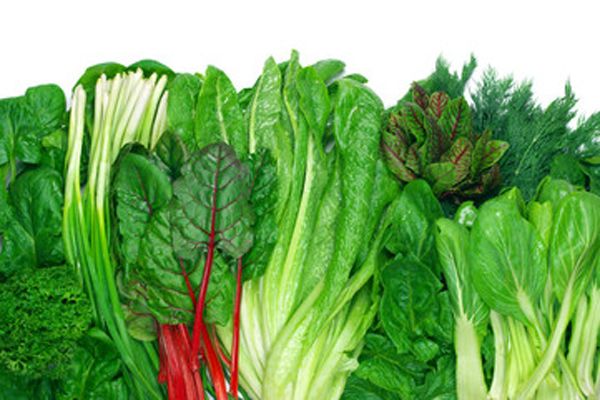 Verduras de hoja verde 