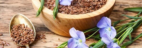 Semillas de lino: Beneficios y propiedades saludables