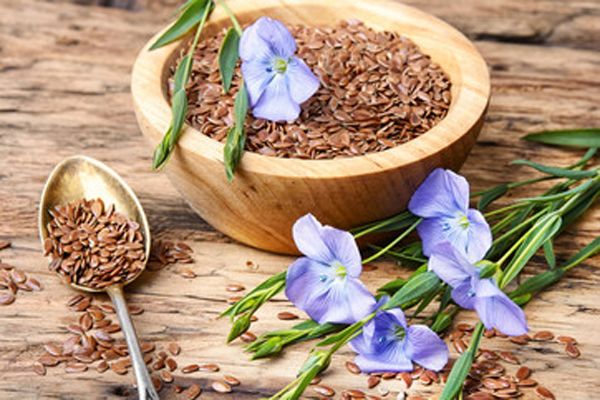 Semillas de lino: Beneficios y propiedades saludables Semillas de lino: Beneficios y propiedades saludables